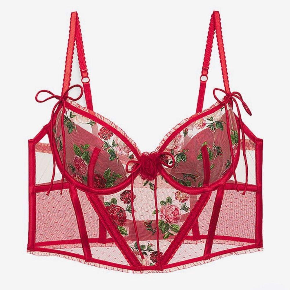 For Love and Lemons Anika Red Floral Corset size XS